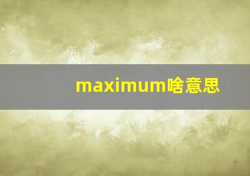 maximum啥意思