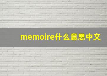 memoire什么意思中文