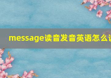 message读音发音英语怎么说