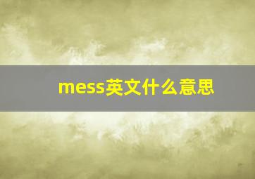 mess英文什么意思