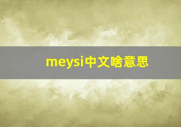 meysi中文啥意思