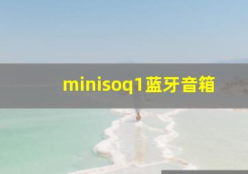 minisoq1蓝牙音箱