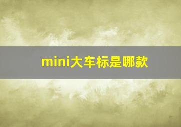 mini大车标是哪款