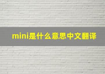 mini是什么意思中文翻译