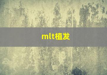 mlt植发