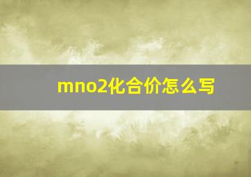 mno2化合价怎么写