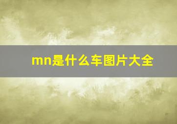 mn是什么车图片大全