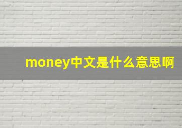 money中文是什么意思啊