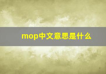 mop中文意思是什么