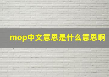 mop中文意思是什么意思啊