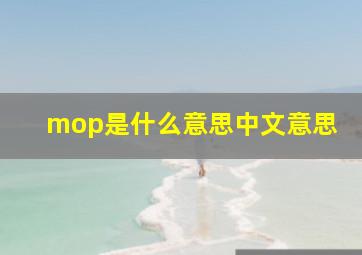 mop是什么意思中文意思