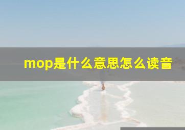 mop是什么意思怎么读音