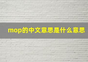 mop的中文意思是什么意思