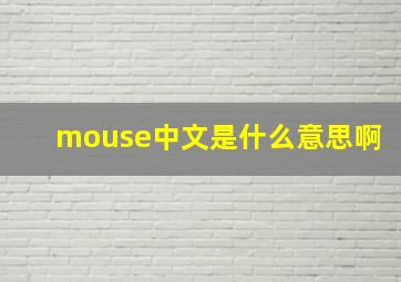 mouse中文是什么意思啊