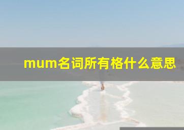 mum名词所有格什么意思