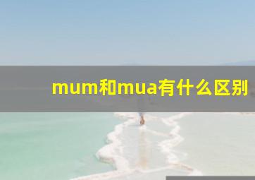 mum和mua有什么区别