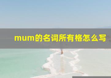 mum的名词所有格怎么写