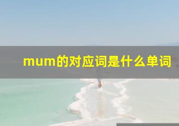 mum的对应词是什么单词