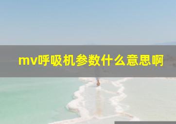 mv呼吸机参数什么意思啊