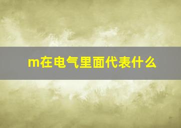 m在电气里面代表什么