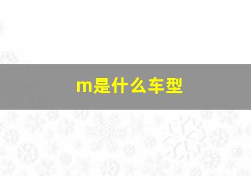 m是什么车型