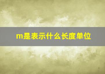 m是表示什么长度单位