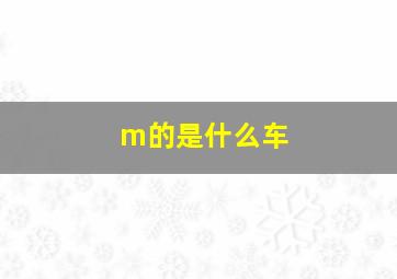 m的是什么车