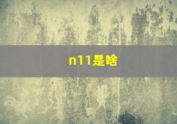 n11是啥