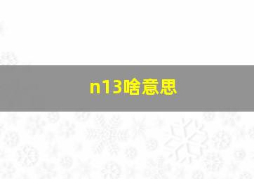 n13啥意思