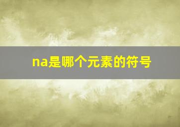 na是哪个元素的符号