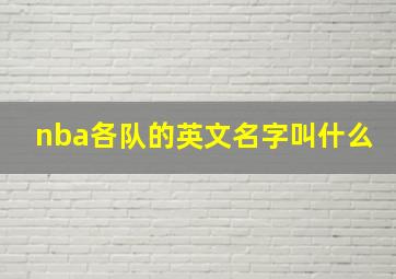 nba各队的英文名字叫什么