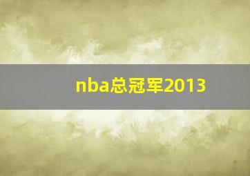 nba总冠军2013