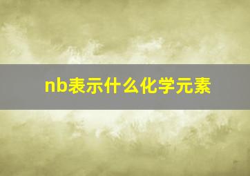 nb表示什么化学元素