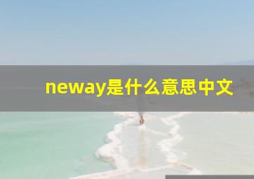 neway是什么意思中文