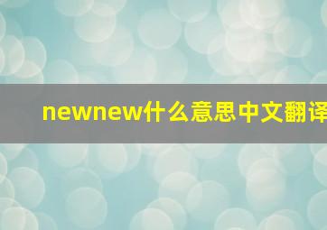 newnew什么意思中文翻译