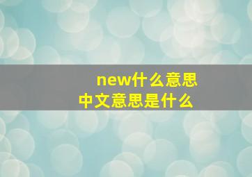 new什么意思中文意思是什么