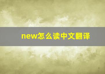 new怎么读中文翻译