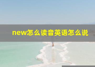 new怎么读音英语怎么说