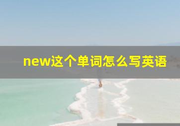 new这个单词怎么写英语