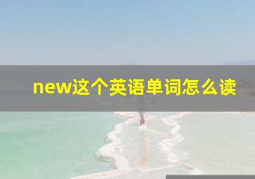 new这个英语单词怎么读