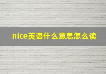 nice英语什么意思怎么读