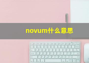 novum什么意思