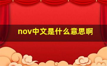 nov中文是什么意思啊