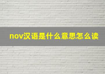 nov汉语是什么意思怎么读