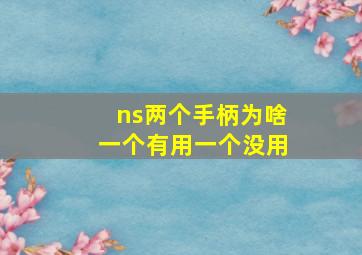 ns两个手柄为啥一个有用一个没用