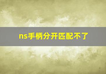 ns手柄分开匹配不了