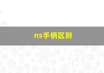 ns手柄区别