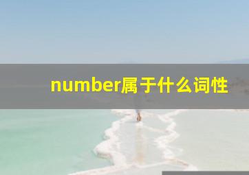 number属于什么词性