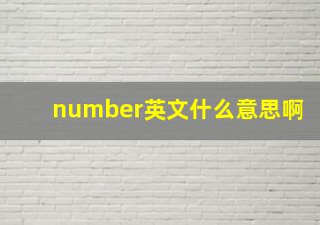 number英文什么意思啊