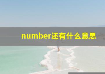 number还有什么意思